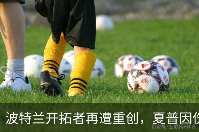 波特兰开拓者再遭重创，夏普因伤预计缺阵六个月